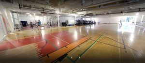 Мохок колледж в Канаде