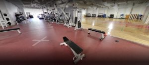 Мохок колледж в Канаде